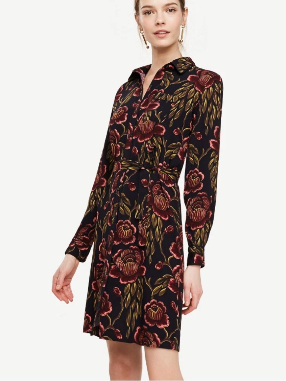 Ann Taylor Rose Garden Shirt Dress – Small-Tall – NWOT